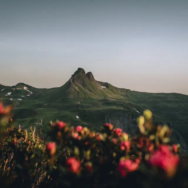 Mittagspitze-in-Damuels-_c_-Lukas-Holland---Damuels-Faschina-Tourismus-_7_.jpg