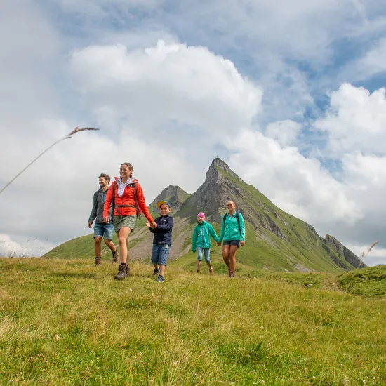 Wandern-in-Damuels-mit-Blick-auf-die-Mittagspitze-_c_-Huber-Images---Damuels-Faschina-Tourismus-_2_.jpg
