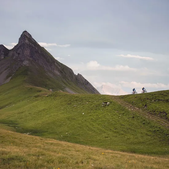 Mountainbiken-am-Fusse-der-Damuelser-Mittagspitze-_c_-Tom-Klocker---Damuels-Faschina-Tourismus-_1_.jpg