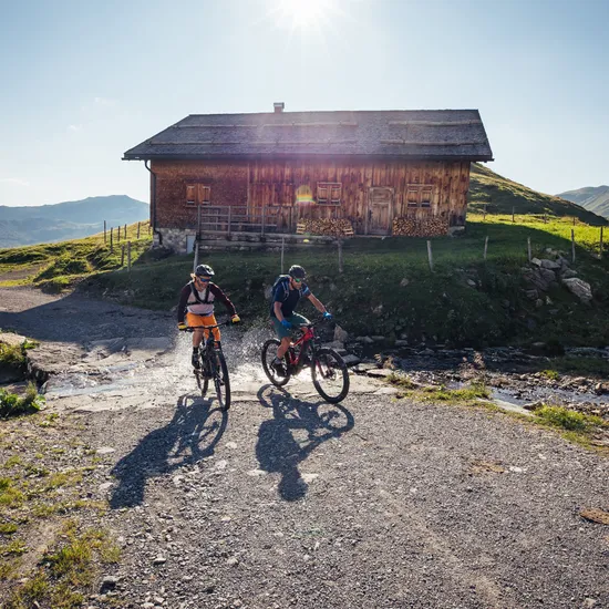 Mountainbiken-in-Damuels-_c_-Sebastian-Stiphout---Bregenzerwald-Tourismus.jpg